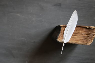 eğitim veya eğitim fikir