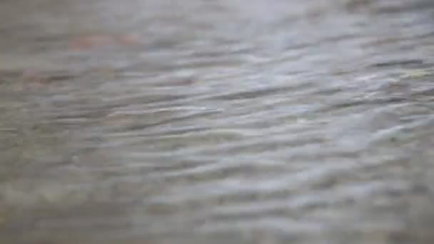 바위 위로 흐르는 물 — 비디오