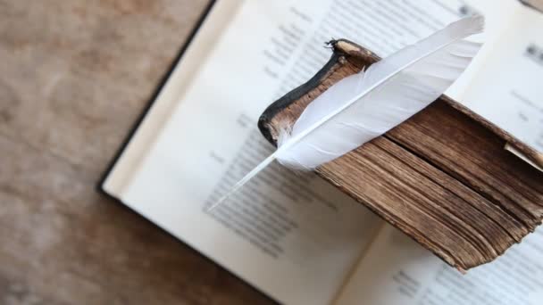 Idée d'école, de collège ou d'université, livre vintage et plume — Video