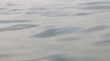 su dalgaları, düşük açılı görünüş
