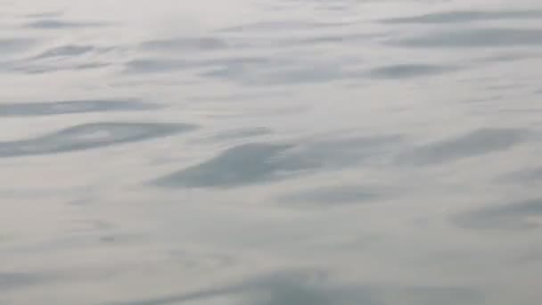 Su dalgaları, düşük açılı görünüş — Stok video
