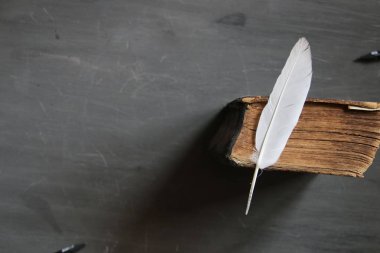 Eğitim kursları fikir