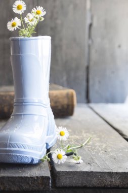 çiçek arka plan, daisy ve vintage tablo çizme,