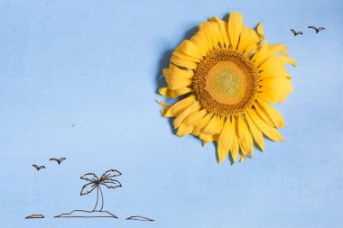 Yaz ya da plaj, seyahat fikir