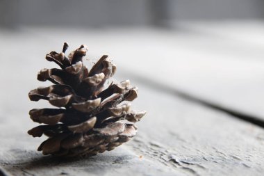 çam kozalağı kopya alanı, xmas kavramı ile ahşap bir yüzeye