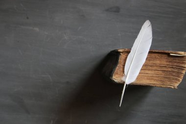 Eğitim, öğrenme, eğitim ya da çalışma fikri