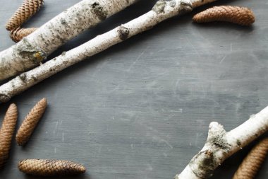 Çam kozalakları ile Noel tatil arka plan ve huş ağacı