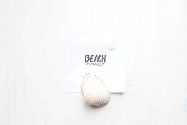 Stranden semester koncept, text och seashell, art stil — Stockfoto