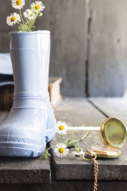 Papatyalar bir önyükleme ve cep saati, çiçek arka plan