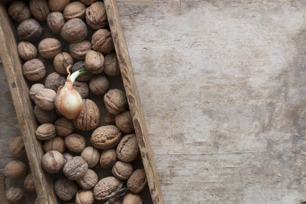 Voedsel achtergrond, verse walnoten in een houten doos — Stockfoto