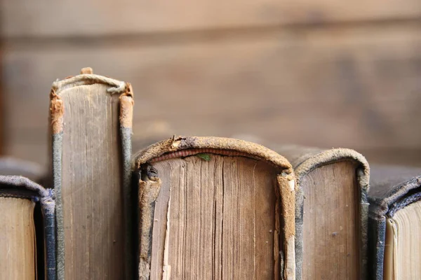 Vintage books, rozostřený — Stock fotografie