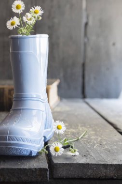 çiçek arka plan, beyaz çiçekler çok güzel