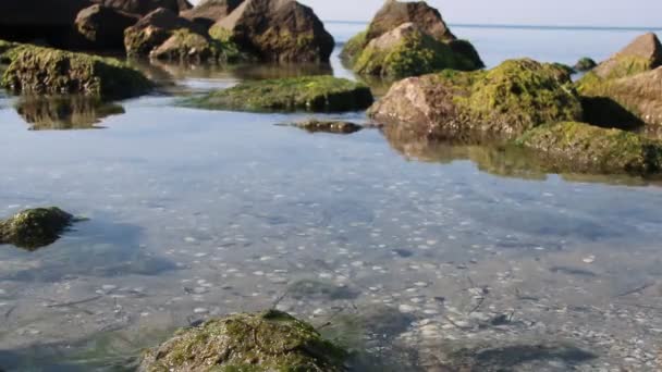 Rocky shore by the sea — Stock Video