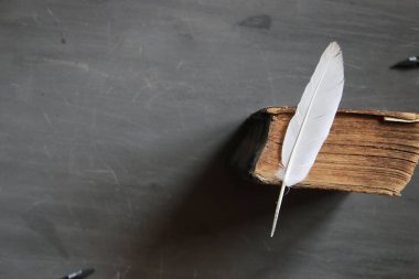 Eğitim kursları fikir, kitap ve tüy