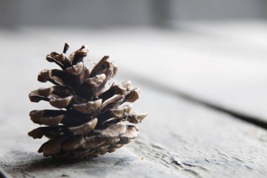 Noel arka plan, çam kozalağı bir ahşap yüzeye