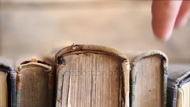 Livres pour lire l'idée, l'homme prend le livre — Video