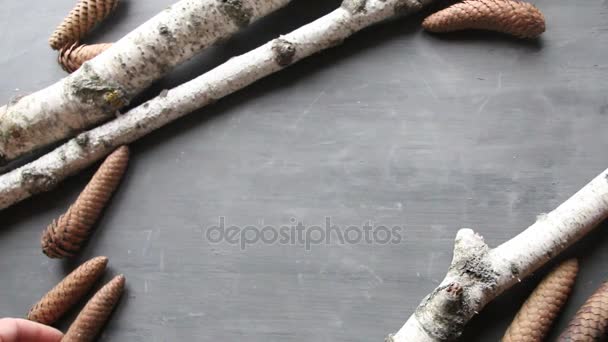 Conos de pino y abedul sobre mesa gris — Vídeos de Stock