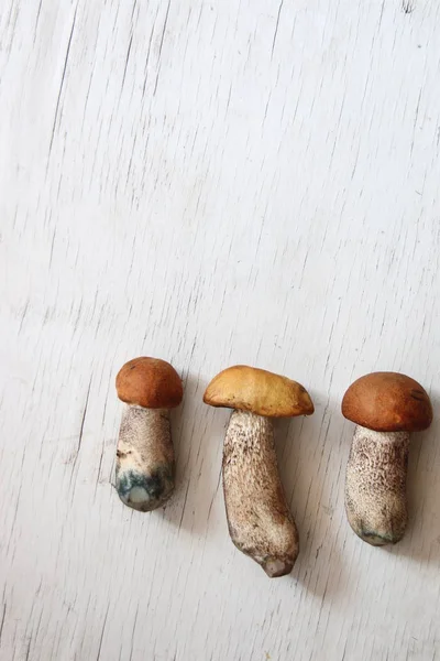 음식 배경 테이블에 야생 버섯 — 스톡 사진