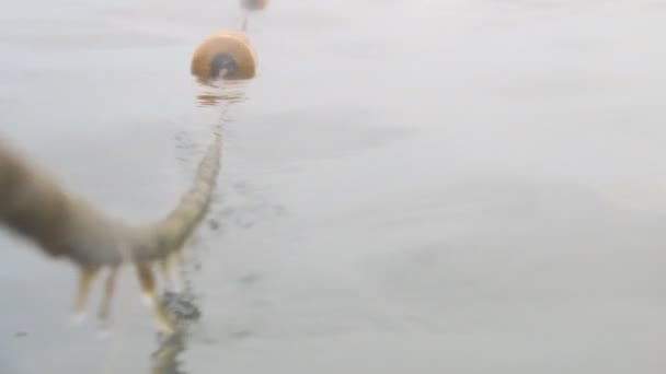 Gele boeien drijvend op de zee- of meerwater — Stockvideo