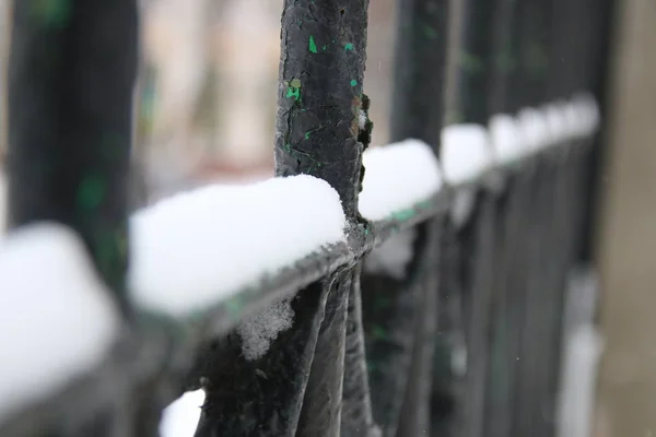 Metal grill in the winter park. — Stock Photo, Image