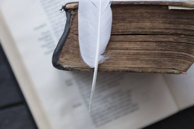 Ücretsiz kurslar ya da okul fikri. Kitap ve tüy.