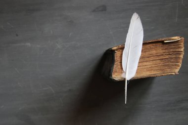 eğitim veya eğitim fikir