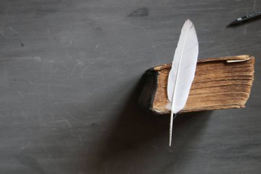 ücretsiz kurslar fikir