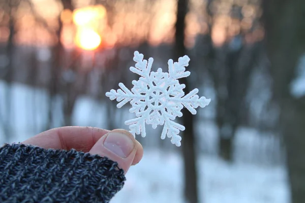 Tél fogalma, kezében egy hópehely — Stock Fotó