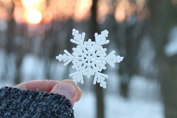 Hideg vagy fagy ötlet, kezében egy hópehely — Stock Fotó