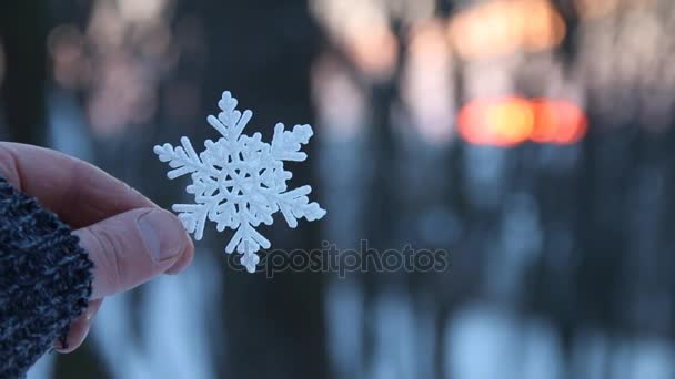 Зимняя или снежная концепция, рука, держащая снежинку — стоковое видео