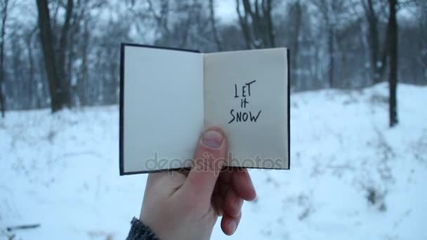 Hagyja, hogy a hó ötlet, a férfi egy könyvet tart a kezében, alatta a felirat, hópelyhek. Téli ünnepek. — Stock videók