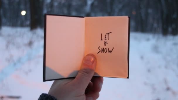 せて雪の冬の休日。手書き。森の背景に碑文の本を持っている手 — ストック動画