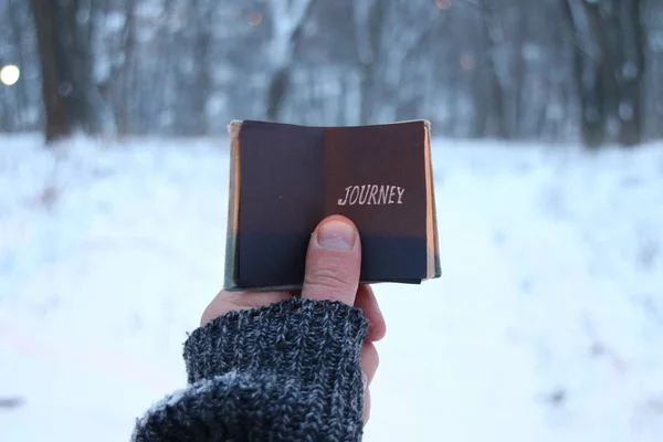 Resa idé, traveler innehar en bok med en inskription och snöig vinter park — Stockfoto