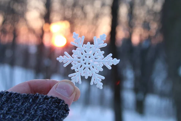 Frostmetode, hånd som holder et snøfnugg – stockfoto