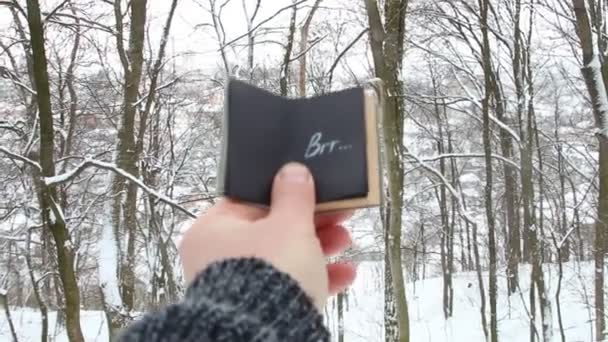 Frost ιδέα. Χέρι που κρατά ένα βιβλίο με την επιγραφή Brr το φόντο του δάσους — Αρχείο Βίντεο