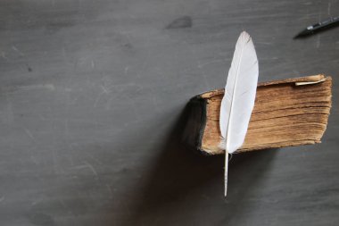 ücretsiz kurslar fikir