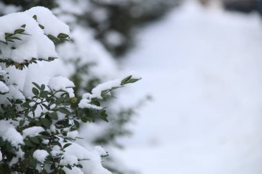 Kar - Noel tatil arka plan dalında. Kış saati.