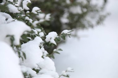 Kar - Noel tatil arka plan dalında. Kış saati.