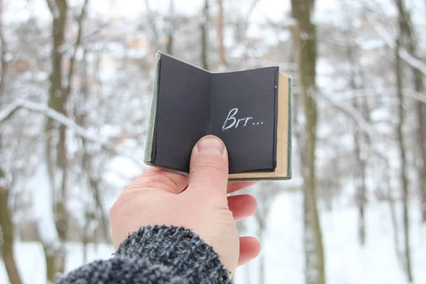 Vinter eller kall idé. Handen håller en bok med inskriptionen Brr bakgrund av skogen — Stockfoto