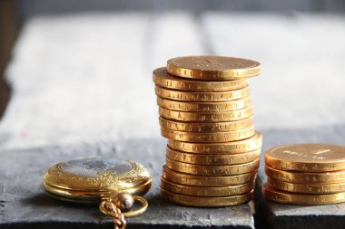 Altın sikke yığını. İşletme veya Maliye kavramı.