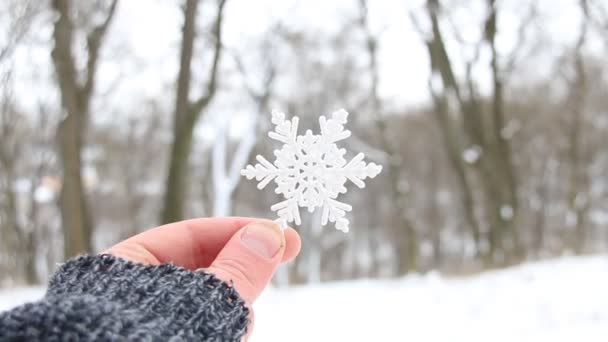 Сніжна креативна концепція, сніжинка на тлі падаючого снігу — стокове відео
