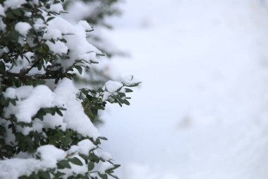 Kar - Noel tatil arka plan dalında. Kış saati.