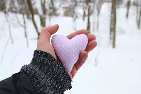 Love winter holidays idea. Hand holding a heart on the background of the forest — Stock Photo, Image