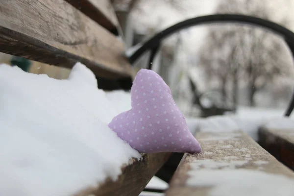 Pad téli park szívében. Valentin-napi üdvözlőlap. Szerelem a eszme-téli. — Stock Fotó