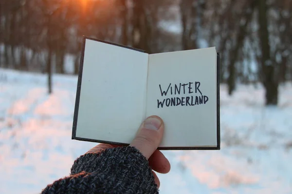 Идея Зимней Страны Чудес. Книга и текст . — стоковое фото
