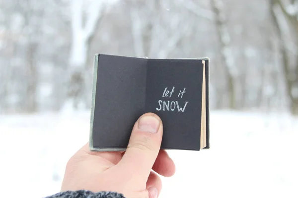 Låt det snö bokstäver och fallande snö. Vintage bok med inskription — Stockfoto