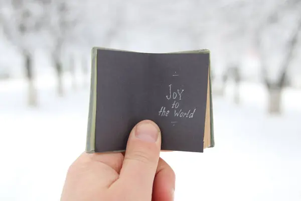 Joy to the world — Stock Photo, Image