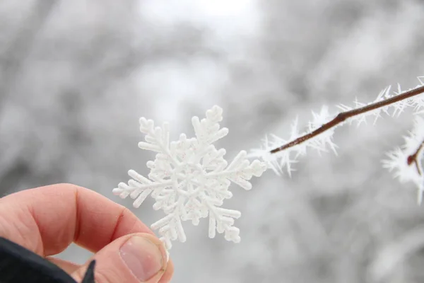 Vinter, snö, jul idé, handen håller en snöflinga — Stockfoto