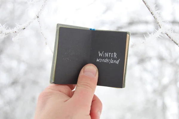 Winter wonderland kreativa koncept — Stockfoto