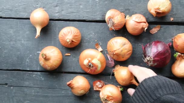 Onions on rustic wood — Stock Video